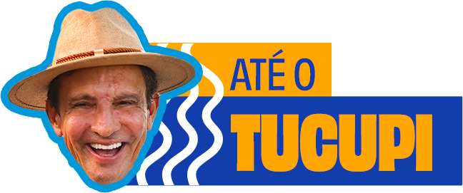Figurinha